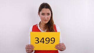 CZECH CASTING - MICHAELA (3499)